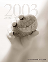 2003 Annual Report cover