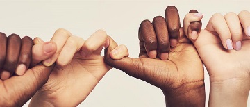 diversity